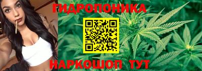 шишки Нальчик
