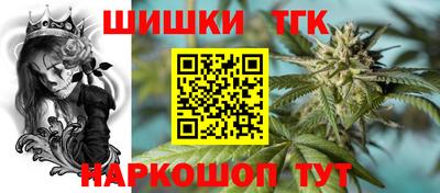 стаф Можга