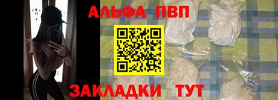 стаф Можга