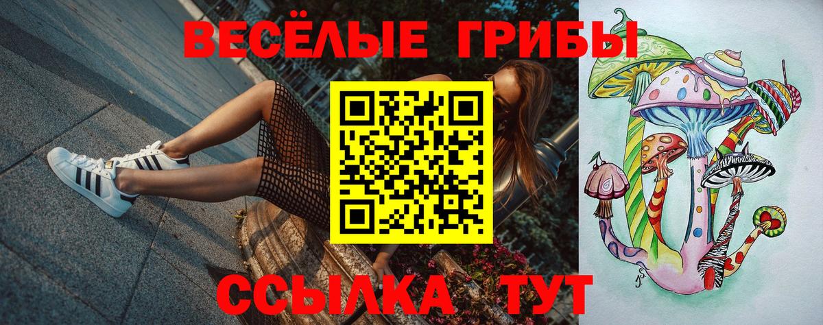Галлюциногенные грибы MAGIC MUSHROOMS  Галлюциногенные грибы Psilocybe  Вход с VPN  Тамбов 